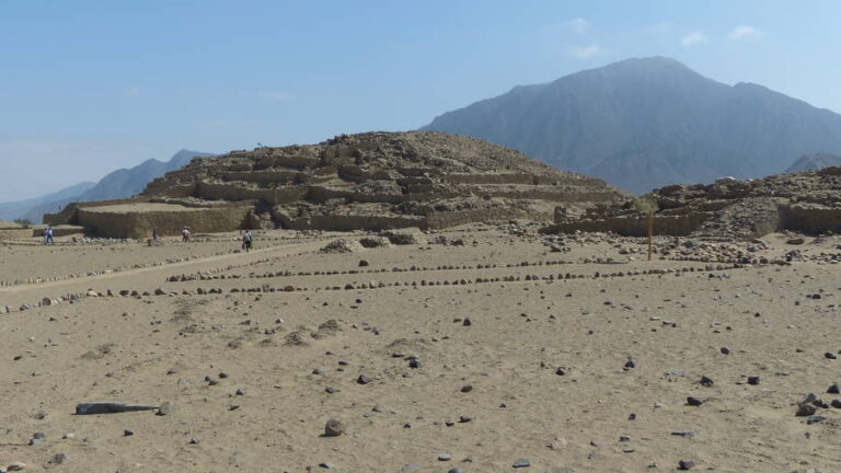 caral212