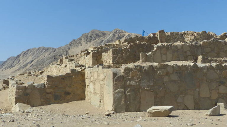 caral213