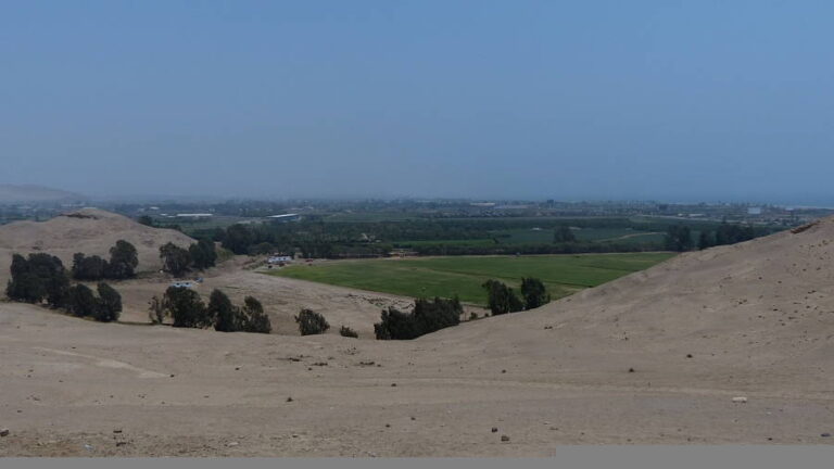 pachacamac 024